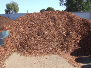 redgumchips.jpg